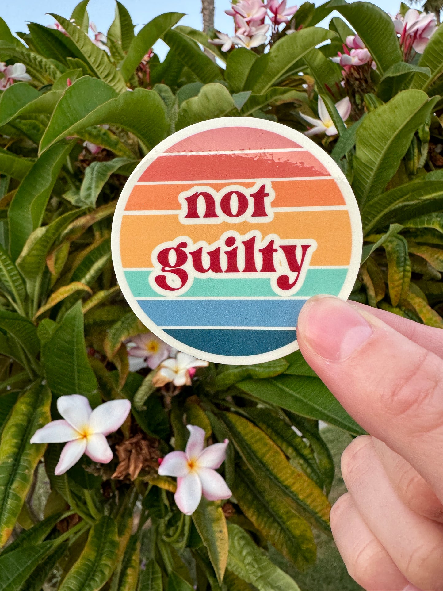 Not Guilty Sticker - 2.5”