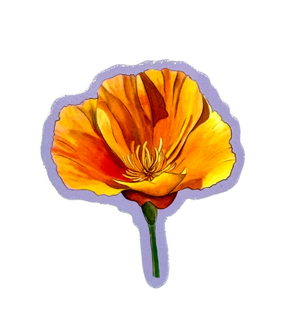 California Wildflower Sticker - 2.5”