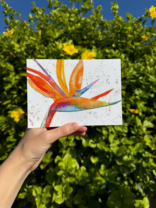 Bird of Paradise Watercolor Print 5x7”