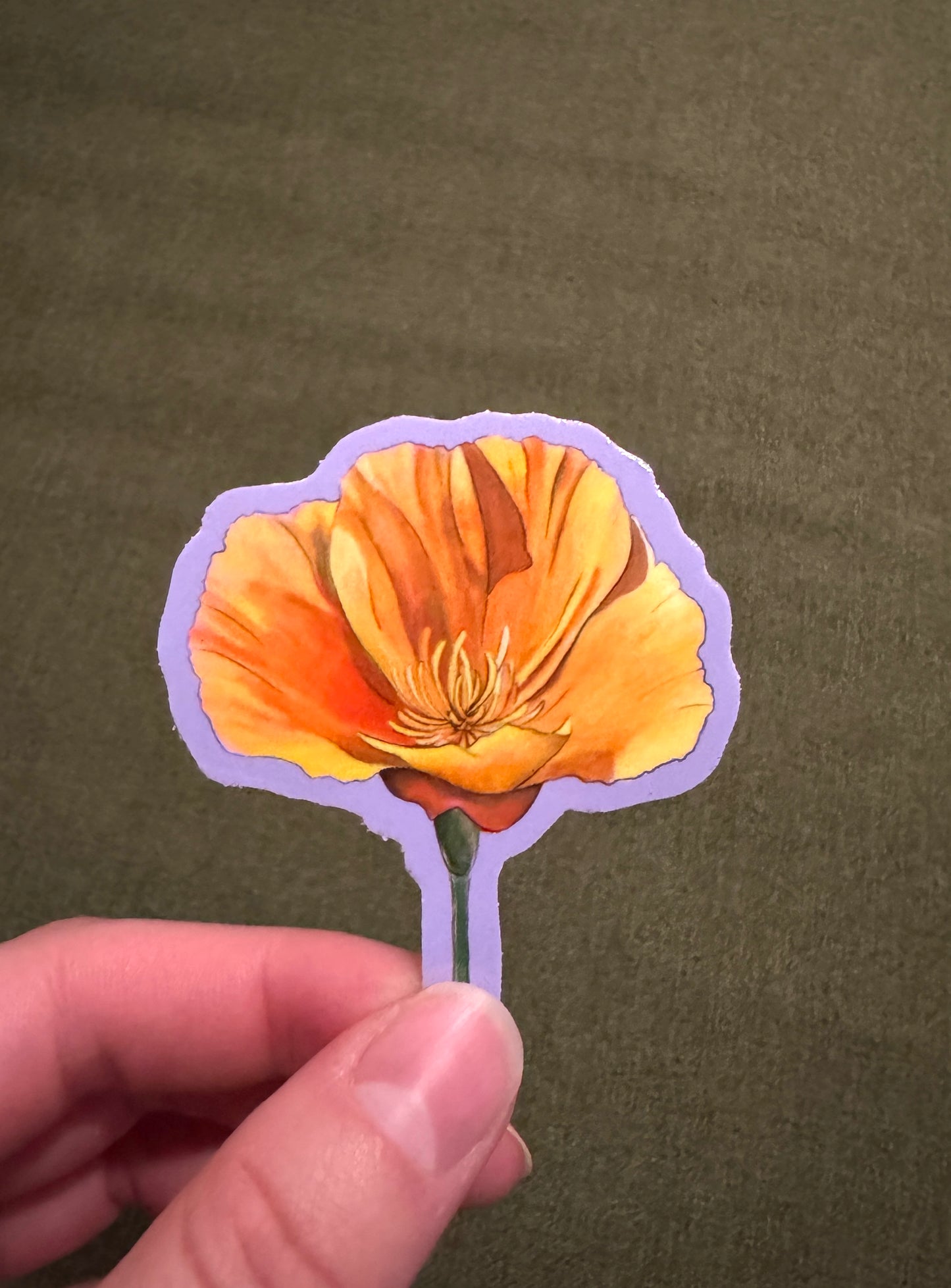 California Wildflower Sticker - 2.5”